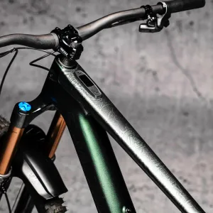 Dyedbro Viking E Bike
