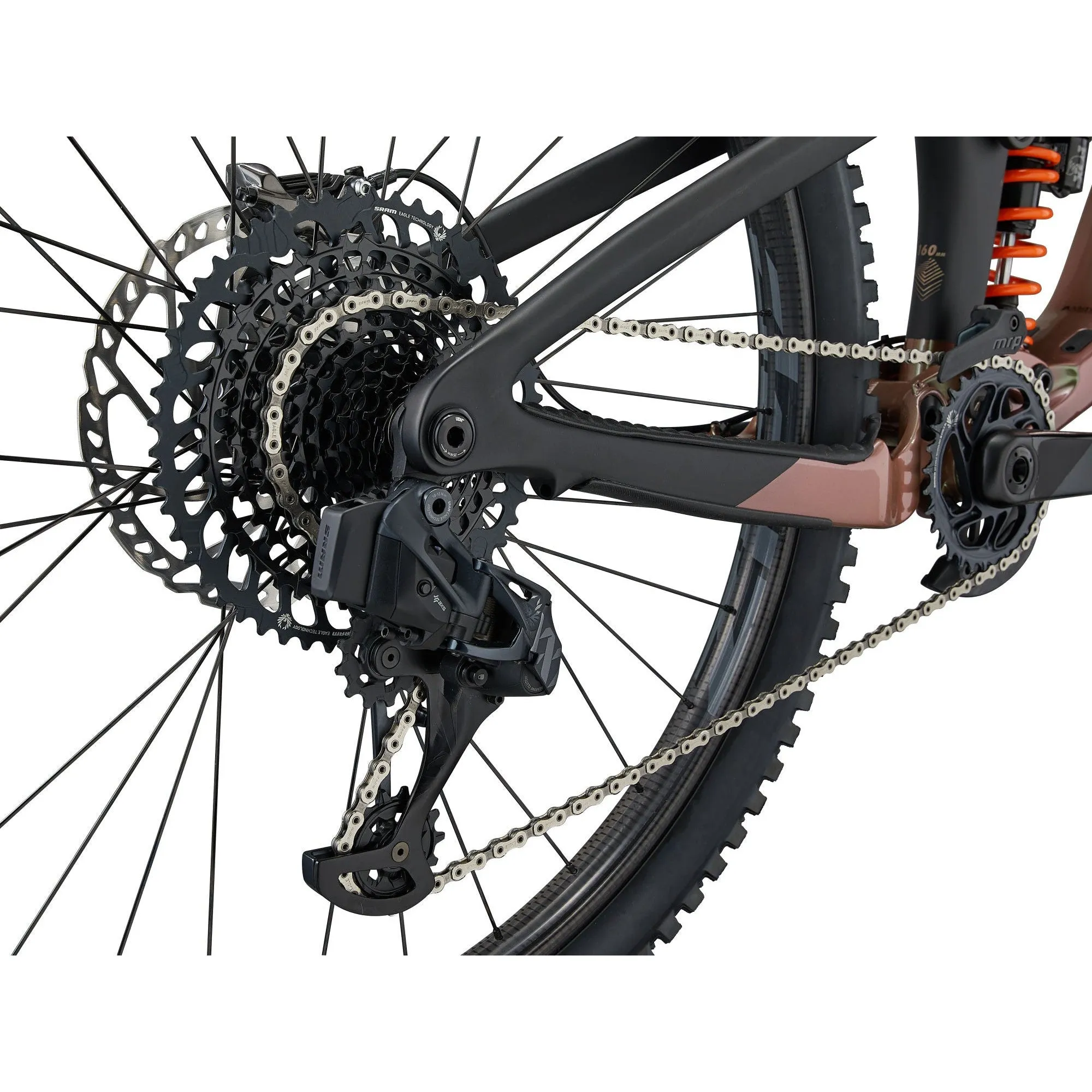 Giant Reign Advanced Pro 0 Mountain Bike