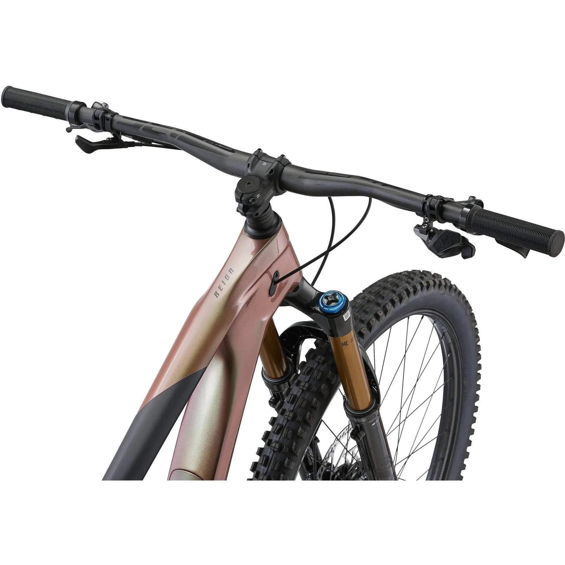 Giant Reign Advanced Pro 0 Mountain Bike