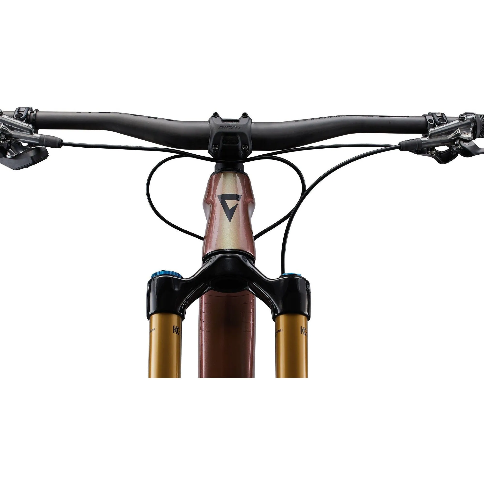 Giant Reign Advanced Pro 0 Mountain Bike
