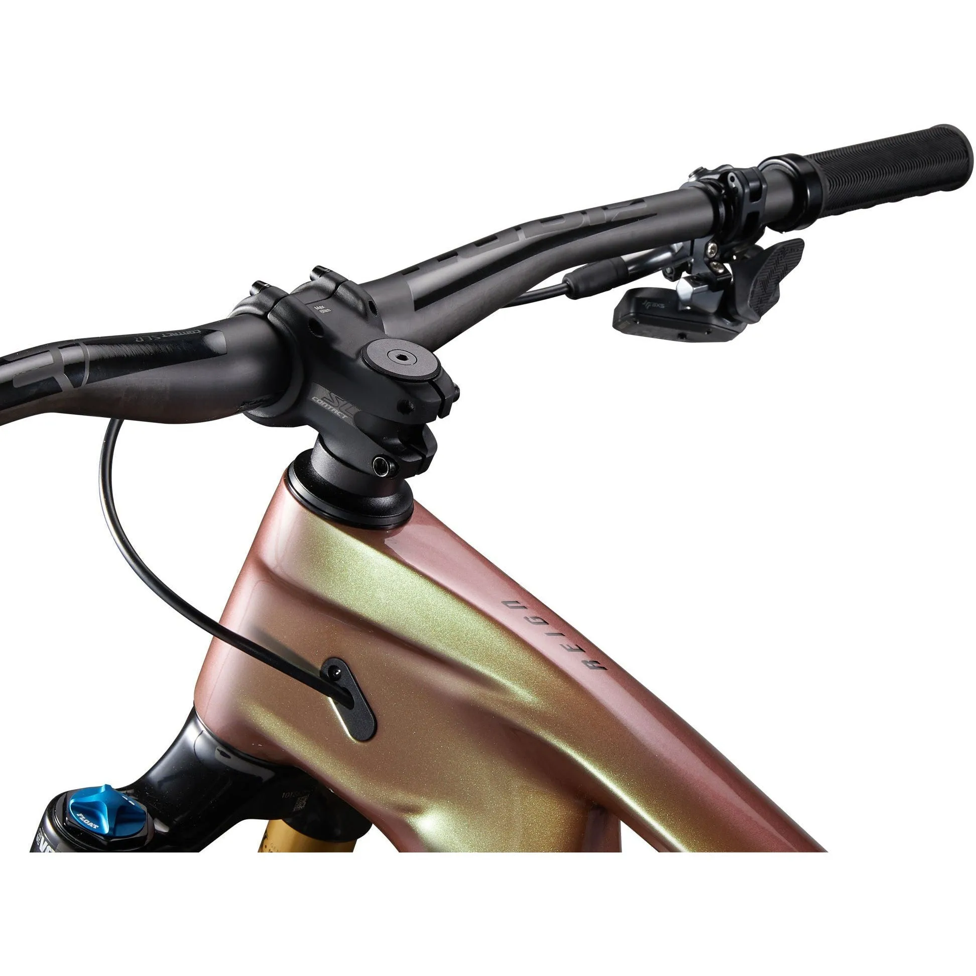 Giant Reign Advanced Pro 0 Mountain Bike