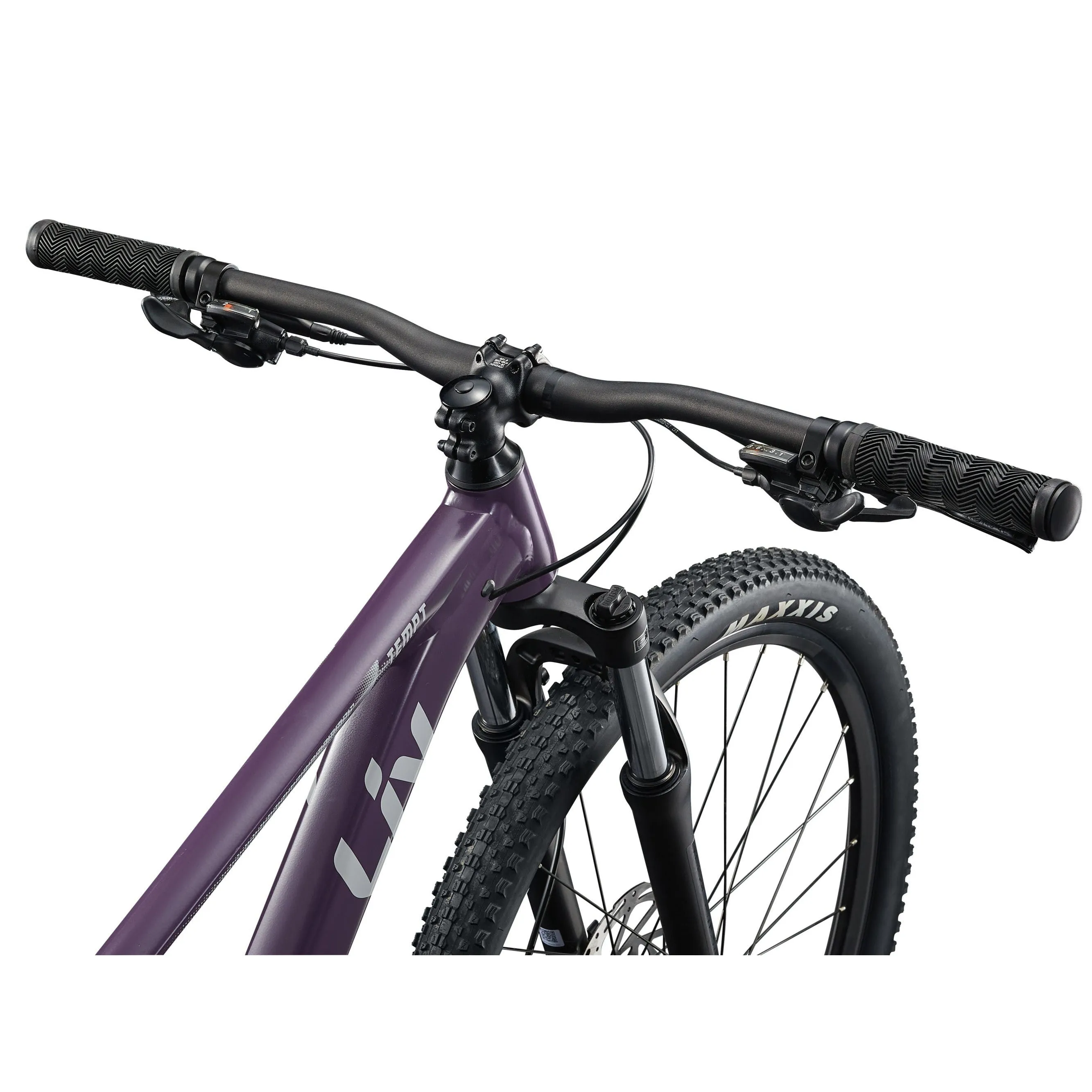 Liv 2025 Tempt 29 3 Mountain Bike