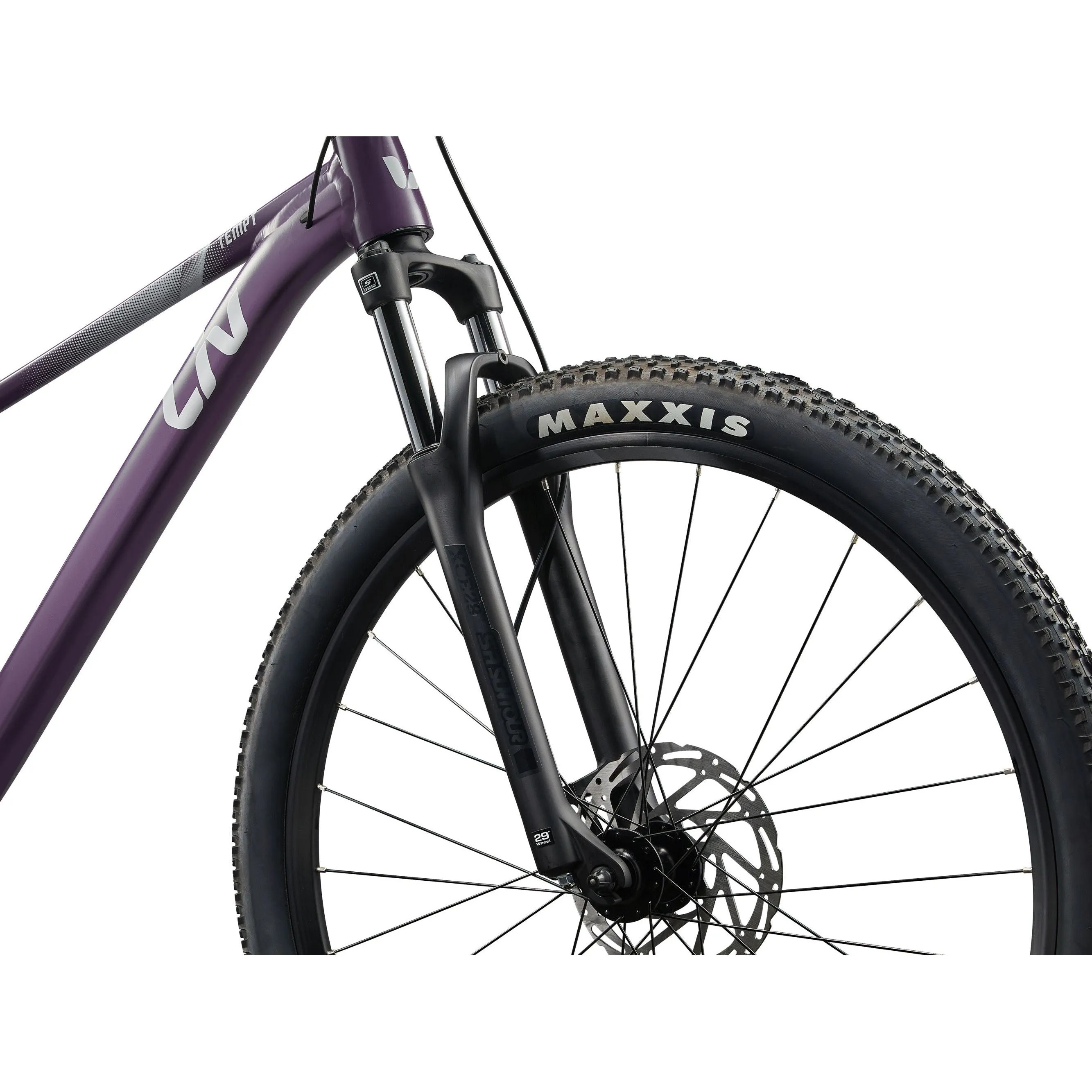 Liv 2025 Tempt 29 3 Mountain Bike