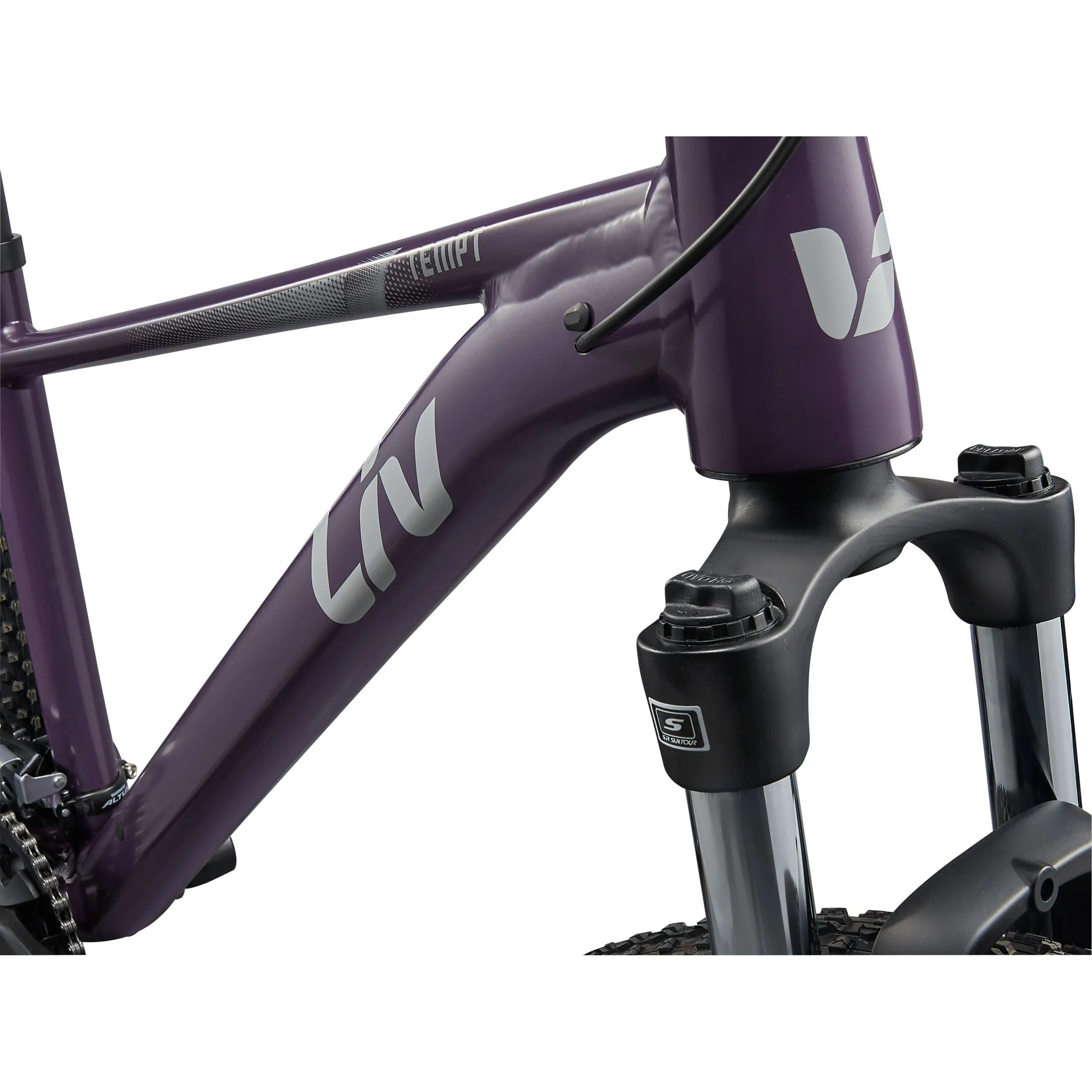 Liv 2025 Tempt 29 3 Mountain Bike