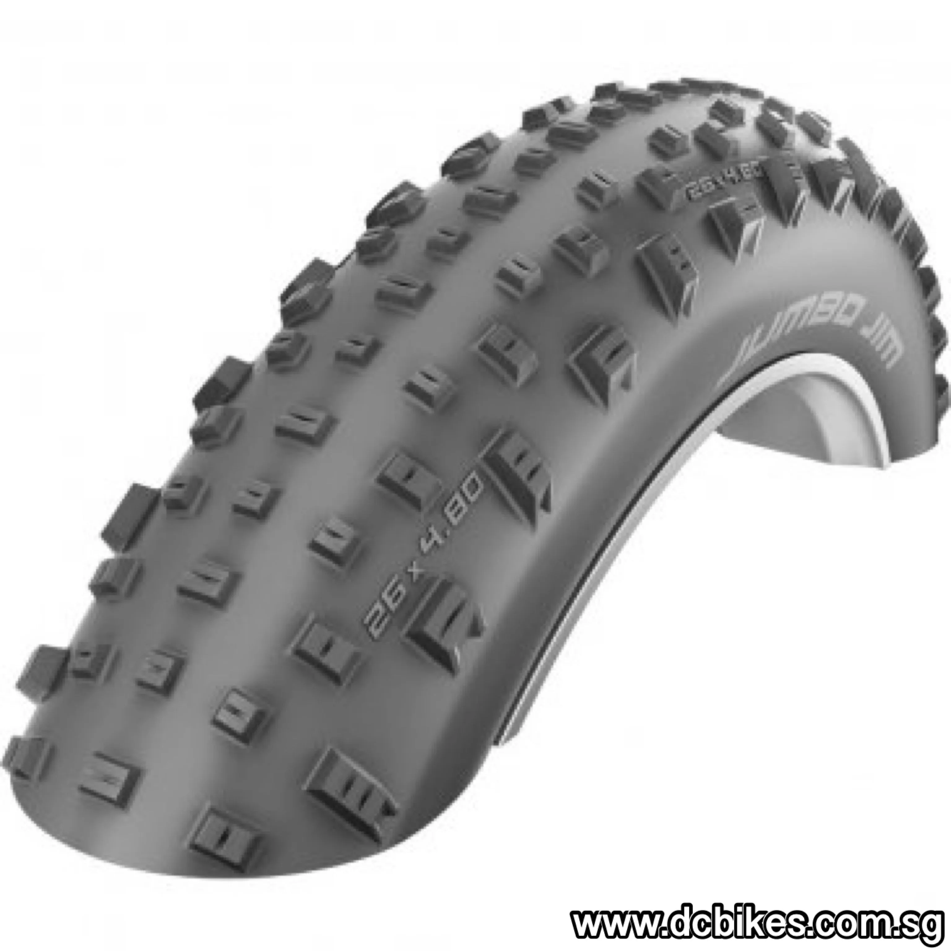 Schwalbe 26 X 4.0 Jumbo Jim Addix Fat Bike Folding Tyre - Etrto : 100-559 (1 Tyre)