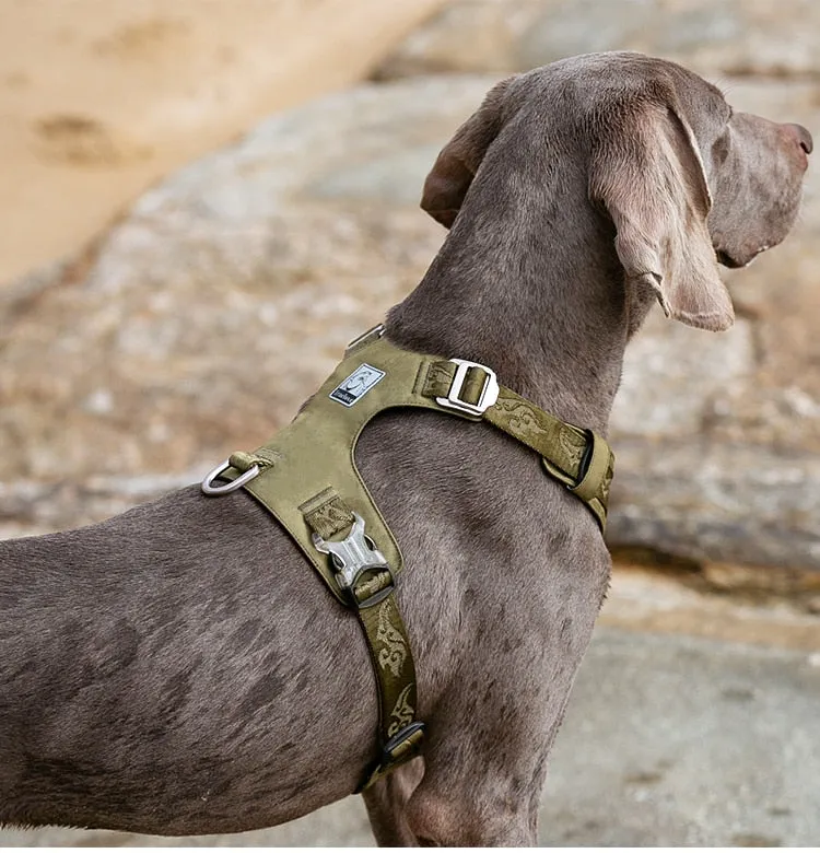 True Love Lightweight Dog Harness - Green, XS